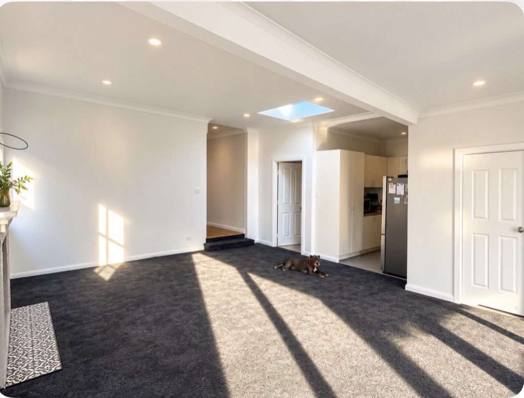 Newcastle renovation – open-plan living room with skylight and new carpet